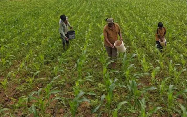 କେନ୍ଦ୍ର ସାର ଓ ରସାୟନ ମନ୍ତ୍ରୀଙ୍କୁ ଭେଟିଲେ ବିଜେଡ଼ି ସାଂସଦ : ସାର ଯୋଗାଣ ନେଇ କେନ୍ଦ୍ରମନ୍ତ୍ରୀଙ୍କ ନିକଟରେ ଜଣାଇଲେ ଦାବି