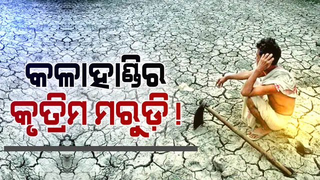 ଜଳସେଚନ ପ୍ରକଳ୍ପ ହେଲା, ହେଲେ ମରୁଡ଼ି ବେଳେ ଜମିକୁ ଯାଇପାରୁନି ପାଣି । ଇନ୍ଦ୍ରାବତୀ ପ୍ରକଳ୍ପର କେନାଲ ଭୁଷୁଡିବା ପରେ କଳାହାଣ୍ଡିର ୬୬ ଗାଁରେ ବଢ଼ିଲା ଚାଷୀଙ୍କ ଚିନ୍ତା, ବର୍ଷା ହେଉନି, କେମିତି ହେବ ଚାଷ ।