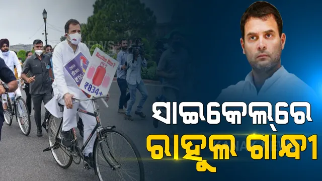 କେନ୍ଦ୍ର ସରକାରଙ୍କୁ ଘେରିବାକୁ ରାହୁଲଙ୍କ ନୂଆ ରଣନୀତି । ବିରୋଧୀ ଦଳ ନେତାଙ୍କ ସହ ଜଳଖିଆ ଖାଇବା ପରେ ସାଇକେଲ ରାଲିରେ ଆସିଲେ ସଂସଦ ।