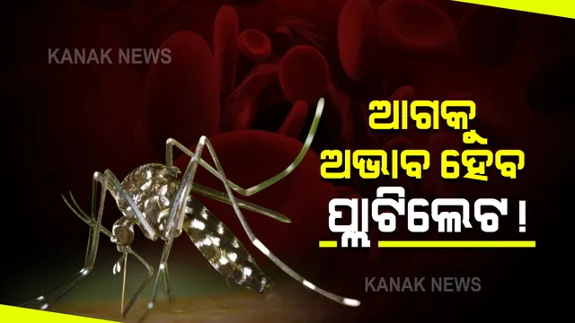 ଡେଙ୍ଗୁ ରୋଗୀଙ୍କ ପାଇଁ ଆଗକୁ ଅଭାବ ହୋଇପାରେ ପ୍ଲାଟିଲେଟ : ରାଜଧାନୀର କ୍ୟାପିଟାଲ ହସ୍ପିଟାଲରେ ପ୍ରତିଦିନ ୧୫ଡେଙ୍ଗୁ ରୋଗୀଙ୍କୁ ଦିଆଯାଉଛି ପ୍ଲାଟିଲେଟ
