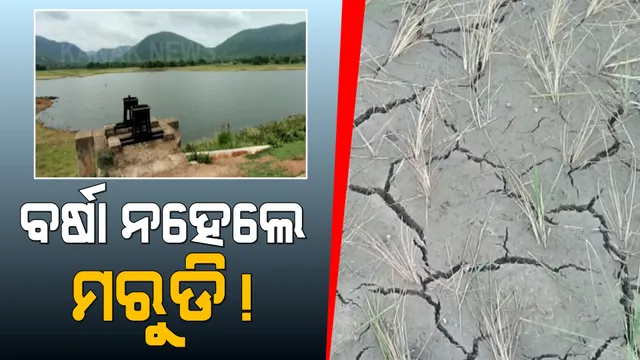 ବର୍ଷା ଅଭାବରୁ ଫାଟି ଗଲାଣି ଚାଷ ଜମି । ଓଡିଶାର ଭାତହାଣ୍ଡି କୁହାଯାଉଥିବା ବରଗଡରେ ଚାଷୀଙ୍କୁ ଘାରି ମରୁଡି ଚିନ୍ତା