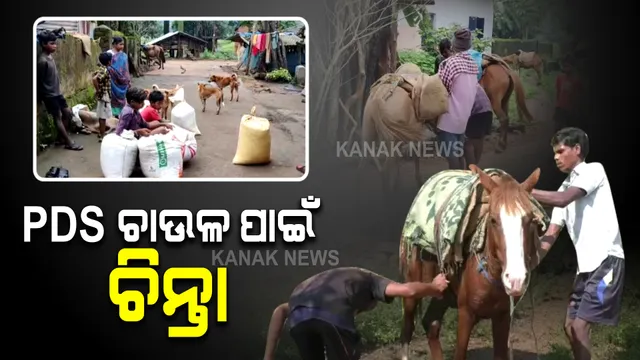 ୨୦ କିମି ପାହାଡି ରାସ୍ତା ଚାଲିଲେ ମିଳିବ ଚାଉଳ । ଗାଁ ଗୋଟିଏ ପଞ୍ଚାୟତରେ, ପିଡିଏସ ସାମଗ୍ରୀ ମିଳୁଛି ଆଉ ଗୋଟିଏ ପଞ୍ଚାୟତରେ, ଚାଉଳ ଆଣିବାକୁ ହଇରାଣ ହେଉଛନ୍ତି ଲୋକେ ।