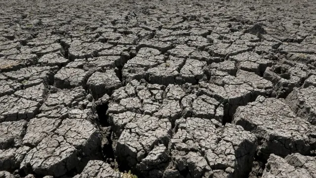 ୨୫ ବର୍ଷରେ ରାଜ୍ୟରେ ୯ଥର ହେଲାଣି ମରୁଡ଼ି । ଜଳବାୟୁ ପରିବର୍ତ୍ତନକୁ ଦାୟୀ କଲେ ପାଣିପାଗ ବିଶେଷଜ୍ଞ । ଭୟଙ୍କର ଭାବେ ପ୍ରଭାବିତ ହୋଇପାରେ ଚାଉଳ ଉତ୍ପାଦନ ।