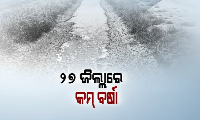 ରାଜ୍ୟର ୨୭ ଜିଲ୍ଲାରେ କମ୍ ବୃଷ୍ଟିପାତ । ଜୁନରୁ ଅଗଷ୍ଟ ମାସରେ ୩୦ ପ୍ରତିଶତ କମ୍ ବର୍ଷା, ପାଣି ଅଭାବରୁ ଉଜୁଡିଲାଣି ଚାଷ । ଧାନ ଜମି ଫାଟି ଆଁ, ଚାଷୀକୂଳ ହତାଶ ।