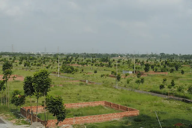 ବସୁନ୍ଧରା ଯୋଜନାରେ ବଡ ଧରଣର ଘୋଟାଲା କରିଥିଲେ ସରକାରୀ ବାବୁ । ଗରିବଙ୍କ ପାଇଁ ଉଦ୍ଦିଷ୍ଟ ଜମି ଅଯୋଗ୍ୟ ହିତାଧିକାରୀଙ୍କୁ ଦେଇଥିଲେ ଟେକି,  ପୂର୍ବତନ ତହସିଲଦାରଙ୍କ ସହ ୪ ଆରଆଇ ଗିରଫ ।