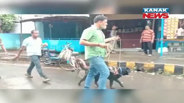 ଯିଏ କରିଥିଲା ଅଭିଯୋଗ , ସେ ହିଁ ବାହାରିଲା ଅଭିଯୁକ୍ତ : ଅଭିଯୁକ୍ତକୁ ଖୋଜୁ ଖୋଜୁ ଅଭିଯୋଗକାରୀର ଘରେ ପହଞ୍ଚିଲା ସନ୍ଧାନୀ କୁକୁର