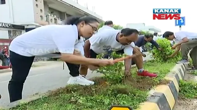 ସମ୍ବଲପୁର ଜିଲ୍ଲାରେ ଫେଲ ମାରିଛି ଗ୍ରୀନ ମହାନଦୀ ମିଶନ୍ : ଅଭିନବ ଉପାୟରେ ଚାଲିଛି ବନୀକରଣ
