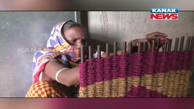 ନଡିଆ କତା ସାଜିଛି ରୋଜଗାରର ମାଧ୍ୟମ । କେନ୍ଦ୍ରାପଡା ଗରଦପୁର ବ୍ଲକ ତିକନପୁରରେ ତିନୋଟି ସ୍ୱୟଂ ସହାୟିକା ଗୋଷ୍ଠୀ ପକ୍ଷରୁ ଉଦ୍ୟମ । ୪୫ ଜଣ ମହିଳାଙ୍କୁ ମିଳୁଛି ରୋଜଗାର ।