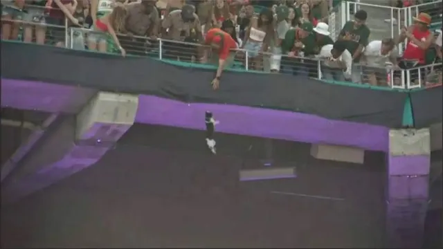 ଷ୍ଟାଡିୟମରେ ଚାଲିଥିଲା ଫୁଟବଲ୍ ମ୍ୟାଚ୍, ଘଟିଗଲା ଏମିତି ଘଟଣା । ଦେଖନ୍ତୁ ଭିଡିଓ...