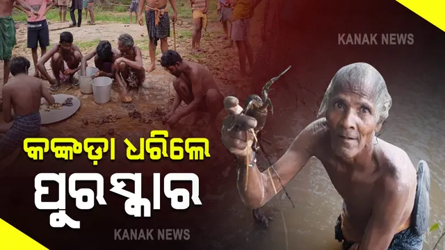 ସମ୍ବଲପୁରରେ ନିଆରା ପ୍ରତିଯୋଗିତା : ଯିଏ ଅଧିକ କଙ୍କଡ଼ା ଧରିବ ତାକୁ ପୁରସ୍କାର ଦିଆଯିବ