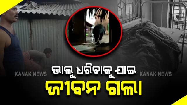 ଭାଲୁ ଧରିବାକୁ ଯାଇ ଜୀବନ ଗଲା : ଏଭଳି ଅଭାବନୀୟ ଘଟଣା ଘଟିଛି ମାଲକାନାଗିରି ଜିଲ୍ଲାରେ
