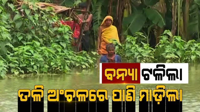 ବନ୍ୟା ଟଳିଗଲା, ହେଲେ ତଳିଆ ଅଞ୍ଚଳରେ ପଶିଲା ପାଣି । ପଢନ୍ତୁ, ରାଜ୍ୟର କେଉଁ ସ୍ଥାନରେ କିପରି ରହିଛି ବନ୍ୟା ସ୍ଥିତି...