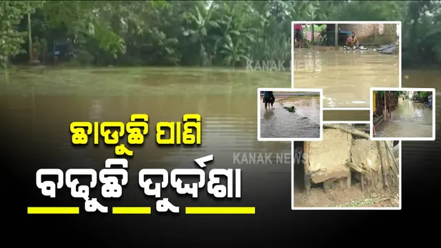 ବଢୁଛି ତଳିଆ ଅଞ୍ଚଳ ଲୋକଙ୍କ ଦୁର୍ଦ୍ଦଶା : ପାଣି ଘେରରେ ବସ୍ତା ବ୍ଲକର ୧୦ଟି ଗାଁର ଲୋକେ