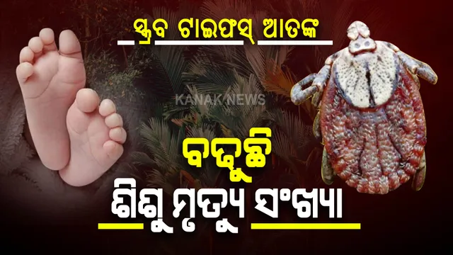 ଉତ୍ତରପ୍ରଦେଶରେ ସ୍କ୍ରବ ଟାଇଫସ୍ ଆତଙ୍କ । ୪୦୦ ରୁ ଅଧିକ ଆକ୍ରାନ୍ତ, ୨୪ ଶିଶୁ ମୃତ, ୩ ଡାକ୍ତର ନିଲମ୍ବିତ ।