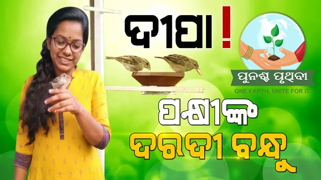 ପକ୍ଷୀଙ୍କ ଦରଦୀ ବନ୍ଧୁ ଦୀପା । ଗାଁ ଗାଁ ବୁଲି ବସା ବାନ୍ଧୁଛନ୍ତି, ଘରଚଟିଆ ସଂରକ୍ଷଣ ଅଭିଯାନ ଚଳାଇଛନ୍ତି...