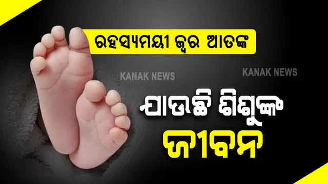 ୟୁପି ପରେ ହରିୟାଣା: ରହସ୍ୟମୟୀ ଜ୍ୱରରେ ଯାଉଛି ଶିଶୁଙ୍କ ଜୀବନ, ଇନ୍ଦୋର ଡେଙ୍ଗୁର ହଟସ୍ପଟ୍