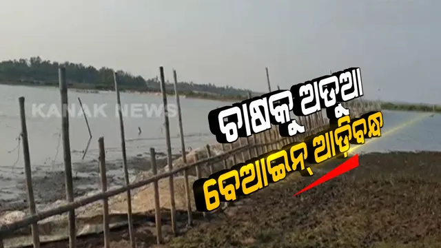 ଚାଲିଛି ନଦୀ ମାଫିଆଙ୍କ ରାଜ୍: ବେଆଇନ୍ ଆଡିବନ୍ଧ ଯୋଗୁଁ ଉଜୁଡି ଯାଉଛି ଚାଷ