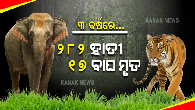 କେମିତି ମଲେ ବାଘ ଓ ହାତୀ? ହିସାବ ଦେଲେ ସରକାର ।