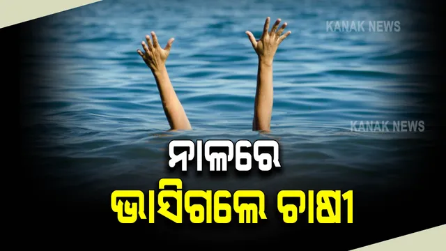ବର୍ଷାରେ ଅଘଟଣ: କ୍ଷେତକୁ ଗଲାବେଳେ ନାଳରେ ଭାସିଗଲେ ଚାଷୀ