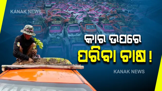 କାର ଉପରେ ଚାଷ! କାରଣ କ’ଣ?