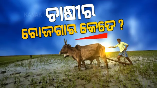 ସରକାରୀ ଯୋଜନା ବଢ଼ାଇ ପାରୁନି ଚାଷୀଙ୍କ ଆୟ । ଓଡ଼ିଶା ଚାଷୀଙ୍କ ମାସିକ ଆୟ ୫ ହଜାରରୁ ସାମାନ୍ୟ ଅଧିକ ।