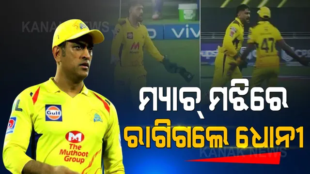 ମୁମ୍ବାଇ-ଚେନ୍ନାଇ ମ୍ୟାଚ୍ ବେଳେ ରାଗିଗଲେ ଧୋନୀ । ଦେଖନ୍ତୁ, ଭିଡିଓ...