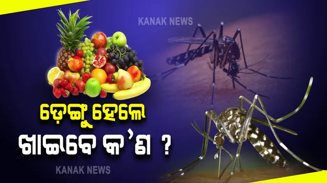 ଡ଼େଙ୍ଗୁ ଭୁତାଣୁରୁ ଉପଶମ ଦେବ ଏହି ଖାଦ୍ୟ ପଦାର୍ଥ । ଡ଼େଙ୍ଗୁ ହେଲେ କ’ଣ ଖାଇବେ ଜାଣନ୍ତୁ