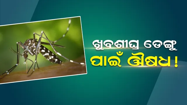 ଦେଶବାସୀଙ୍କ ପାଇଁ ଖୁସି ଖବର ଆଣିଲେ ଭାରତୀୟ ବୈଜ୍ଞାନିକ, ମିଳିଲା ଡେଙ୍ଗୁ ଔଷଧର ସନ୍ଧାନ