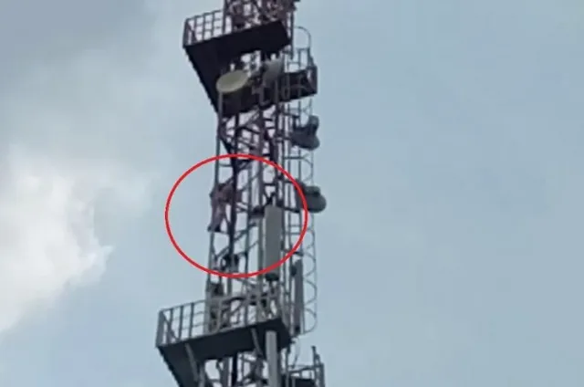 ଠେଲାଗାଡ଼ିବାଲା: ଇଞ୍ଜିନିୟରିଂ ଛାତ୍ରୀଙ୍କ ପ୍ରେମରେ ପଡ଼ିଗଲେ, ମନା କରିବାରୁ ଟେଲିଫୋନ୍ ଟାୱାରକୁ ଚଢ଼ିଗଲେ...