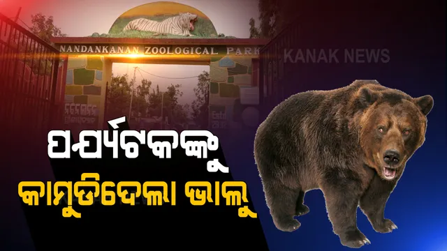 ନନ୍ଦନକାନନରେ ପର୍ଯ୍ୟଟକଙ୍କ ହାତକୁ କାମୁଡିଦେଲା ଭାଲୁ । ଆକ୍ରମଣରେ ରକ୍ତାକ୍ତ ହେଲେ ପର୍ଯ୍ୟଟକ ।