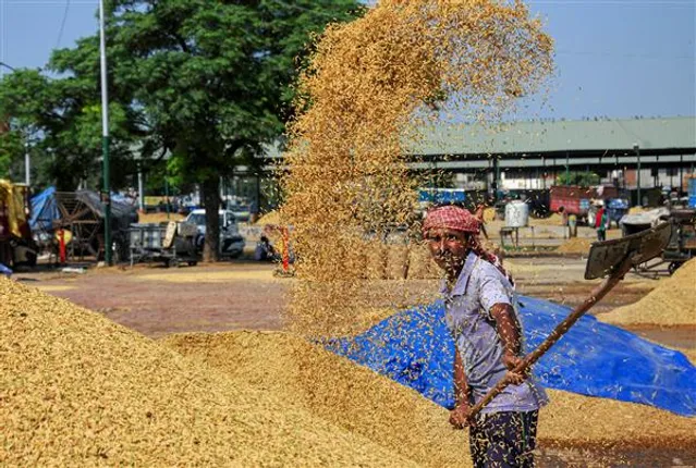 ଚାଷୀ ଆନ୍ଦୋଳନ ପରେ କେନ୍ଦ୍ର ସରକାରଙ୍କ ନିଷ୍ପତ୍ତି: ପଂଜାବ, ହରିଆଣାରେ ରବିବାର ଠାରୁ ଆରମ୍ଭ ହେବ ଶଷ୍ୟ କିଣା ପ୍ରକ୍ରିୟା
