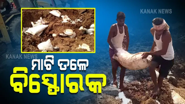 ଚଡ଼େଇଧରାରେ କଳାପଥର ଖାଦନରୁ ପୁଲିସର ଚଢ଼ାଉ :  ମାଟି ତଳୁ ବାହାରିଲା ଆମୋନିଆ ନାଇଟ୍ରେଟ ସାର ବସ୍ତା