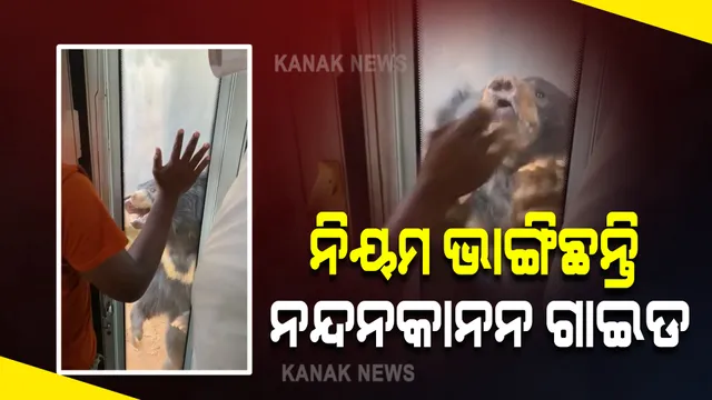 ନନ୍ଦନକାନନରେ ସଫାରୀ ବସ୍ ଉପରେ ଭାଲୁ ଆକ୍ରମଣ ଘଟଣା : ନିୟମଉଲ୍ଲଙ୍ଘନକାରୀଙ୍କ ବିରୋଧରେ କାର୍ଯ୍ୟାନୁଷ୍ଠାନ ନେବେ ନନ୍ଦନକାନନ କର୍ତୃପକ୍ଷ