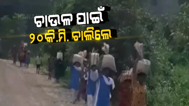 ଚାଉଳ ପାଇଁ ୨୦ କିମି ଚାଲିଲେ ନଗଡାର କୁନି କୁନି ପିଲା: ବିଦ୍ୟାଳୟରୁ ମଧ୍ୟାହ୍ନ ଭୋଜନ ଚାଉଳ ମୁଣ୍ଡାଇ ଚଢିଲେ ପାହାଡ 