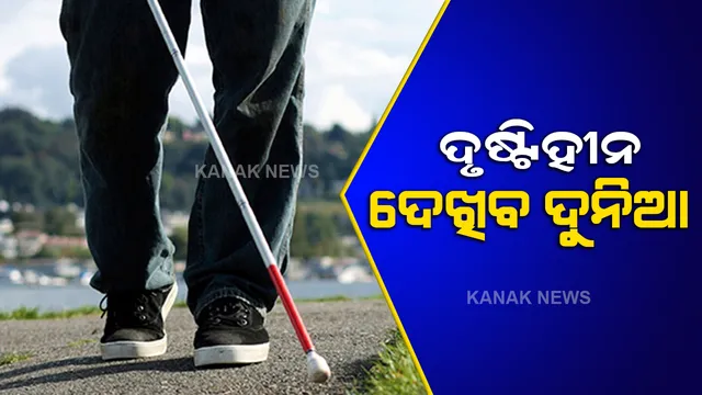 ବୈଜ୍ଞାନିକଙ୍କ ବଡ ସଫଳତା, ଏହି ଚିପ୍ ମାଧ୍ୟମରେ ଏବେ ଦୃଷ୍ଟିହୀନ ବି ଦେଖିବ ଦୁନିଆ