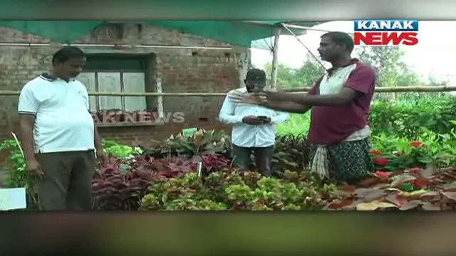 ଚାକିରିରୁ ଅବସର ପରେ ସୃଷ୍ଟି କରିଛନ୍ତି ନର୍ସରୀ: ଲାଗିଛି ଭଳି କି ଭଳି ଗଛର ଚାରା 