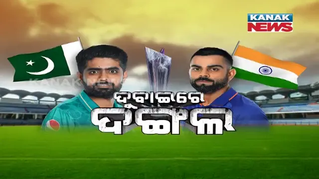 ଦୁବାଇରେ ଦଙ୍ଗଲ