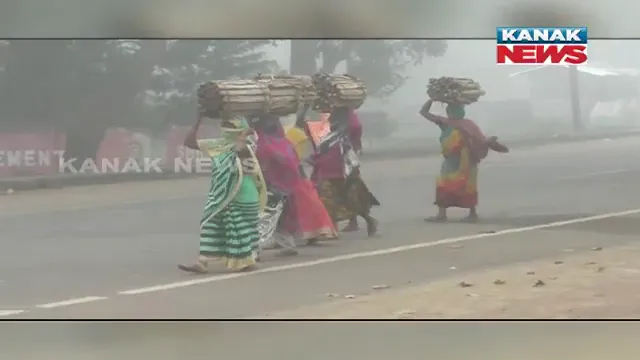 ରାଜ୍ୟରେ ଧୀରେ ଧୀରେ ଅନୁଭୂତ ହେଲାଣି ଶୀତ । କନ୍ଧମାଳରେ ଶୀତ ସାଙ୍ଗକୁ ଘନ କୁହୁଡି 