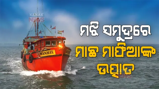 ସମୁଦ୍ରରେ ମାଛ ମାଫିଆଙ୍କ ଉତ୍ପାତ । ପାଟ୍ରୋଲିଂ ବେଳେ ବନ ବିଭାଗର ଟ୍ରଲରକୁ ସମୁଦ୍ରରେ ବୁଡାଇ ଦେବାକୁ କଲେ ଉଦ୍ୟମ, କର୍ମଚାରୀଙ୍କୁ କଲେ ମରଣାନ୍ତକ ଆକ୍ରମଣ ।