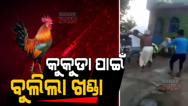 କୁକୁଡା ଉପରେ ଗାଡି ଚଢିଗଲା ବୋଲି... । ଠେଙ୍ଗା ଉଠିଲା, ଖଣ୍ଡା ବୁଲିଲା । 