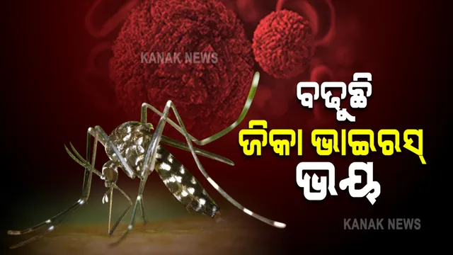 ବଢୁଛି ଜିକା ଭାଇରସ୍ ଭୟ । ଗୋଟିଏ ଦିନରେ ୩୦ମାମଲା