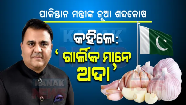 ପାକିସ୍ତାନ ମନ୍ତ୍ରୀ କହିଲେ ‘ଗାର୍ଲିକ ମାନେ ଅଦା’ । ଭାଇରାଲ ହେଲା ଭିଡିଓ ।