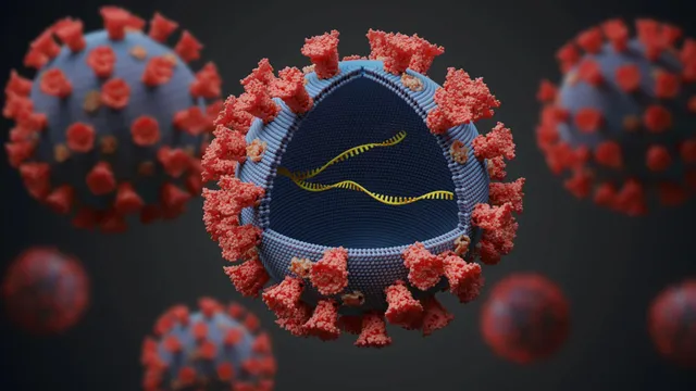 କରୋନାର ନୂଆ ଭାରିଆଣ୍ଟ ‘ଓମିକ୍ରନ’ ବିପକ୍ଷରେ କେତେ ଫଳପ୍ରଦ ଟିକା? ପଢନ୍ତୁ, କଣ କହିଲା ଫାଇଜର କମ୍ପାନୀ...