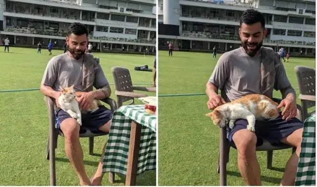 ଅଭ୍ୟାସ ମ୍ୟାଚରେ ବିଲେଇ ସହ ଖେଳୁଥିବାର ନଜର ଆସିଲେ ବିରାଟ । କମେଣ୍ଟରେ କିଛି ଏମିତି ଲେଖିଲେ ଅନୁଷ୍କା । 