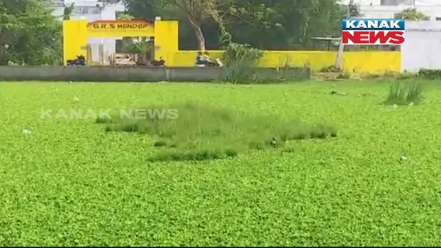 ଅଳିଆ, ଆବର୍ଜନା ଓ ପଙ୍କରେ ଭର୍ତ୍ତି ହୋଇଛି ପୋଖରୀ । ବ୍ରହ୍ମପୁର ସହରରୁ ଆସିଲା ଏପରି ଅଭିଯୋଗ