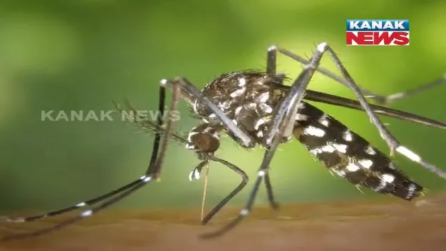 କରୋନା ପରେ ଗଞ୍ଜାମରେ ଡ଼େଙ୍ଗୁ ଚିନ୍ତା: ଗୋଟିଏ ଗାଁରେ ୪୦ରୁ ଅଧିକ ପଜିଟିଭ