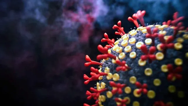 ବିଶ୍ୱକୁ ଡରାଉଛି ଆଫ୍ରିକାର ଏହି ଅଞ୍ଚଳ । ୯୦ ପ୍ରତିଶତ କରୋନା ରୋଗୀ ଓମିକ୍ରନ ଭାରିଆଣ୍ଟରେ ସଂକ୍ରମିତ!