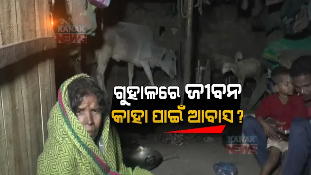 ମୁଣ୍ଡ ଉପରେ ନାହିଁ ପକ୍କାଘର । ଗୁହାଳରେ ବିତୁଛି ଶତାଧିକ ପରିବାରର ଜୀବନ, କାହା ପାଇଁ ଆବାସ ଯୋଜନା ?