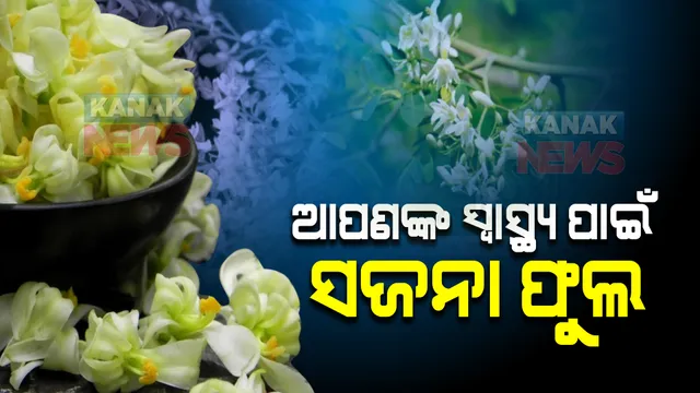 କେବଳ ସଜନା ଛୁଇଁ କି ପତ୍ର ନୁହେଁ ଫୁଲ ବି ଆପଣଙ୍କ ସ୍ୱାସ୍ଥ୍ୟ ପାଇଁ ବହୁ ଉପକାରୀ, ଜାଣନ୍ତୁ କେଉଁ ରୋଗୀ ଏହାକୁ ଖାଇଲେ ମିଳିଥାଏ ଉପଶମ