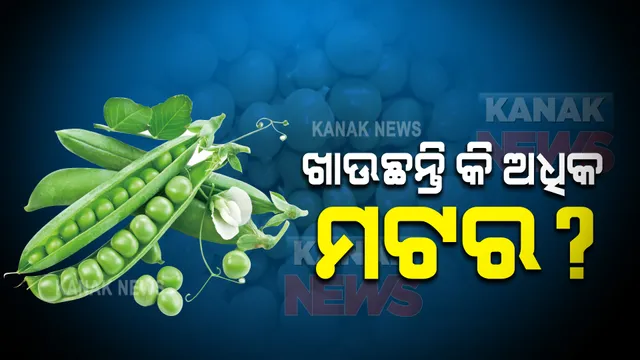 ଆବଶ୍ୟକତା ଠାରୁ ଅଧିକ ମଟର ଖାଉଥିଲେ ସାବଧାନ, ଶରୀରରେ ପଡିପାରେ କୁ ପ୍ରଭାବ